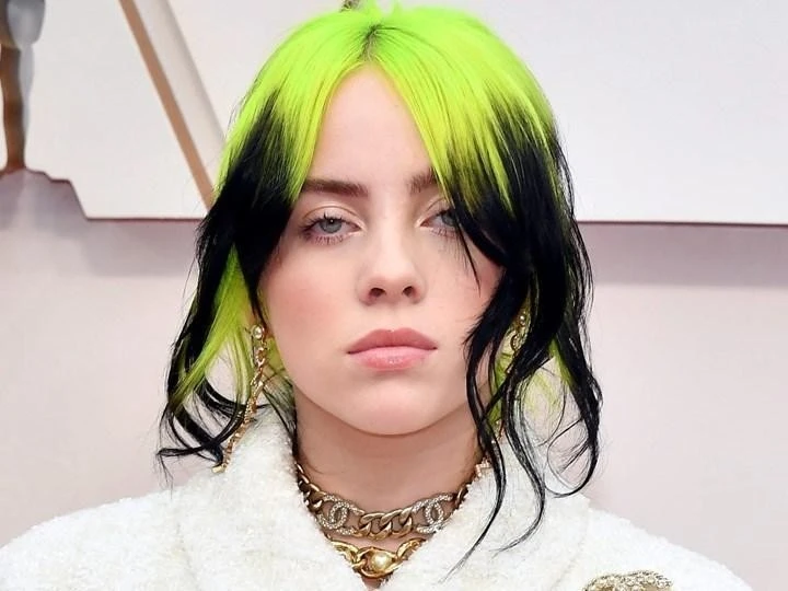 Billie Eilish:Ca sĩ gen Z náo loạn làng nhạc thế giới, được Justin Bieber bảo vệ - Hình 1