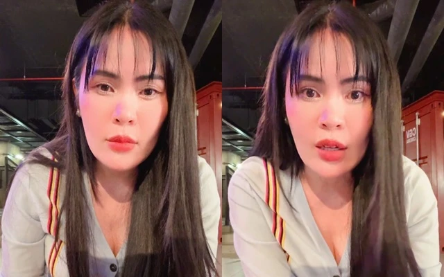 Phương Lê bị đội Youtuber bênh Hồng Loan phá việc làm ăn, chơi pháp lý? - Hình 1