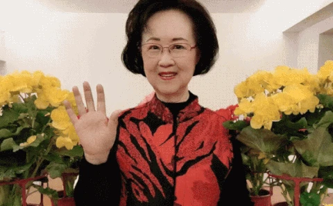 Lâm Tâm Như nghẹn ngào nói 1 câu khi nghe tin nữ sĩ Quỳnh Dao qua đời - Hình 5