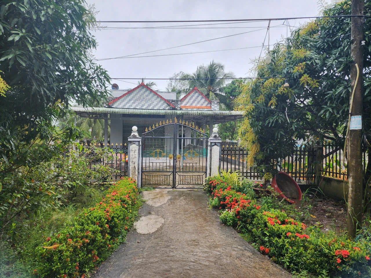Ba Lê Tuấn Khang phát biểu quá sợ trước dòng người đổ về, tiến hành làm rào ngăn - Hình 3
