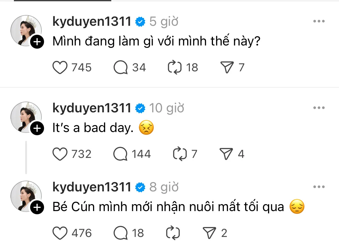 Kỳ Duyên tái hợp tình cũ, lộ thái độ đầy drama - Hình 1