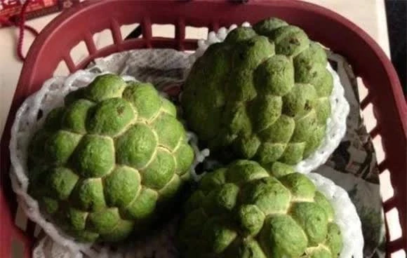 Tôn Ngộ Không không sợ trời đất, nhưng sợ búi tóc nhỏ trên đầu Như Lai, vì sao? - Hình 3