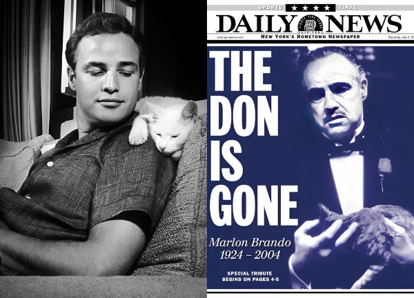 Marlon Brando: Huyền thoại Hollywood, càng nổi càng tự cao, cuối đời bị bệnh - Hình 1