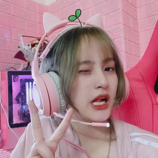 Heavy Alice: A famous streamer of the past, once leaked 18+ videos and had a happy ending - Photo 1