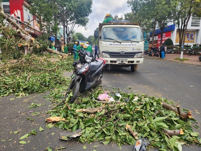 Thiếu nữ bị cây ngã đè qua đời thương tâm khi đang bán hoa dịp lễ tình nhân - Hình 5