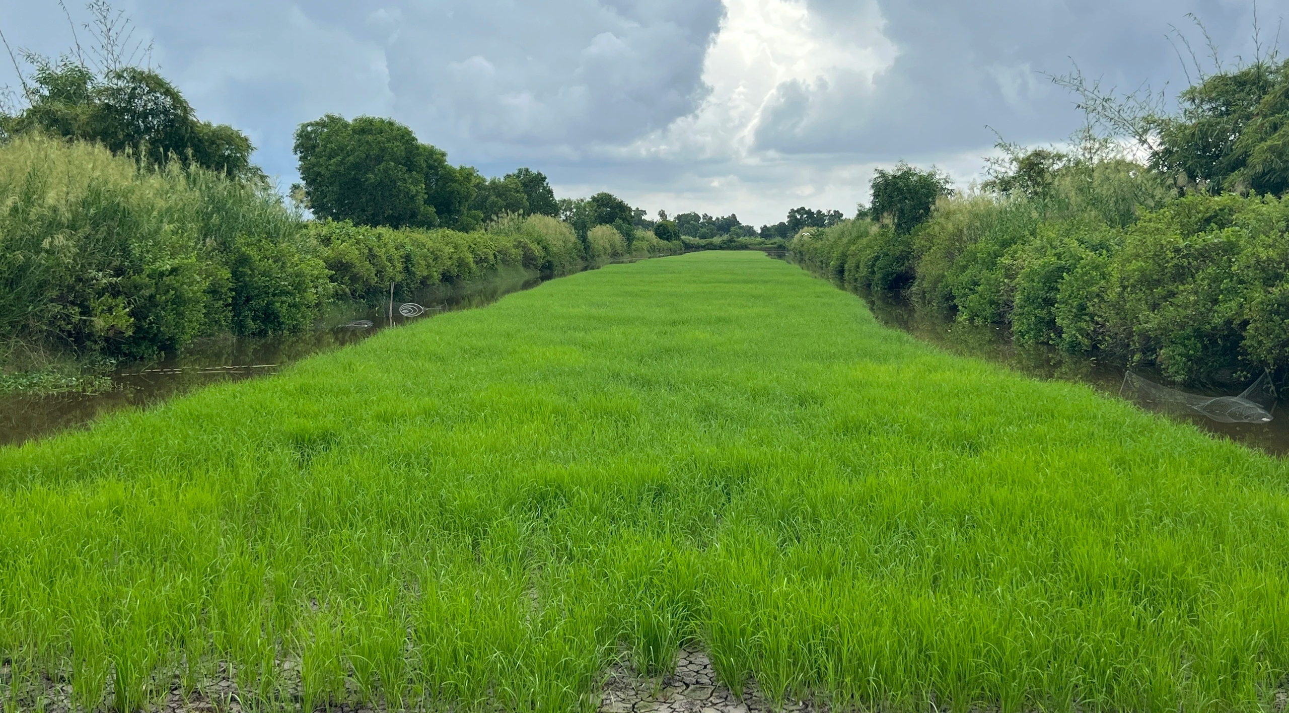 Cà Mau: Khởi tố nguyên Phó trưởng phòng NN-PTNT về hành vi tham ô - Hình 1