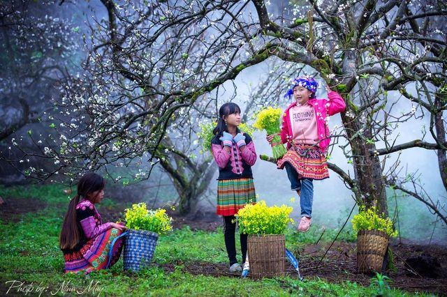 Du lịch Mộc Châu: 4 thiên đường mận trắng không nên bỏ qua - Hình 1