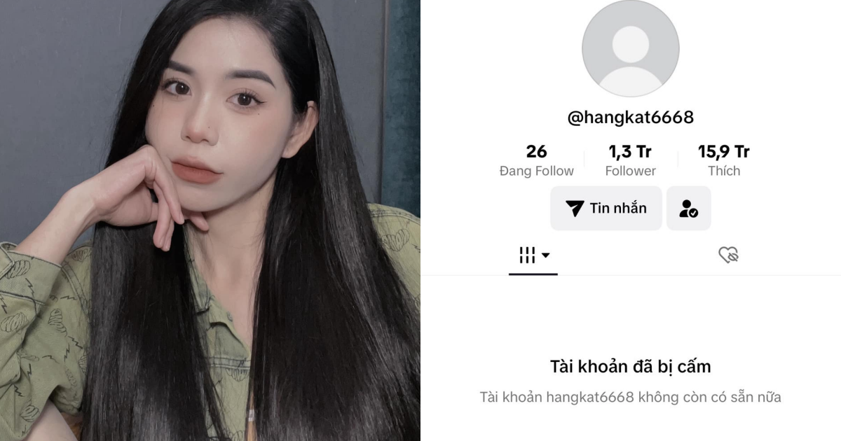 Hằng Du Mục chính thức bay màu kênh TikTok, đăng đàn ẩn ý bị ai đó chơi xấu - Hình 8