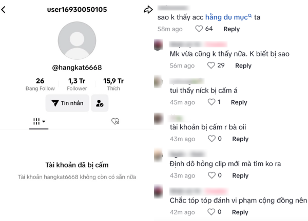 Hằng Du Mục chính thức bay màu kênh TikTok, đăng đàn ẩn ý bị ai đó chơi xấu - Hình 7
