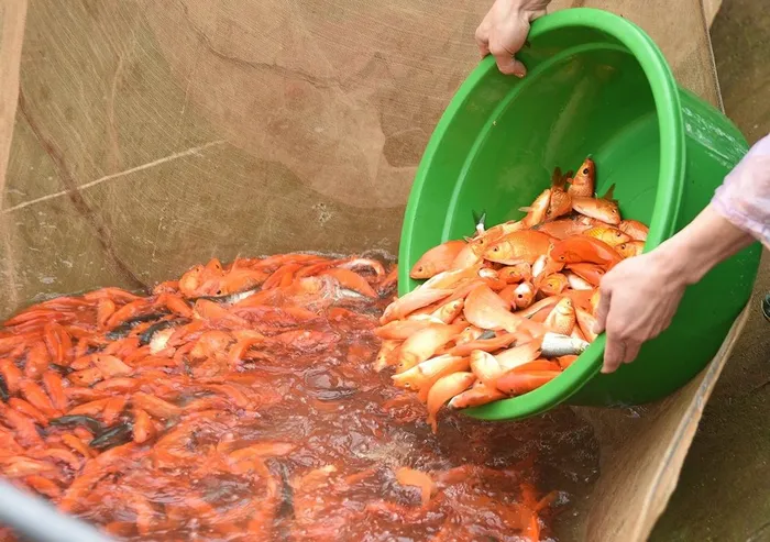 Năm nay cúng ông Công ông Táo thời điểm nào tốt nhất? - Hình 3