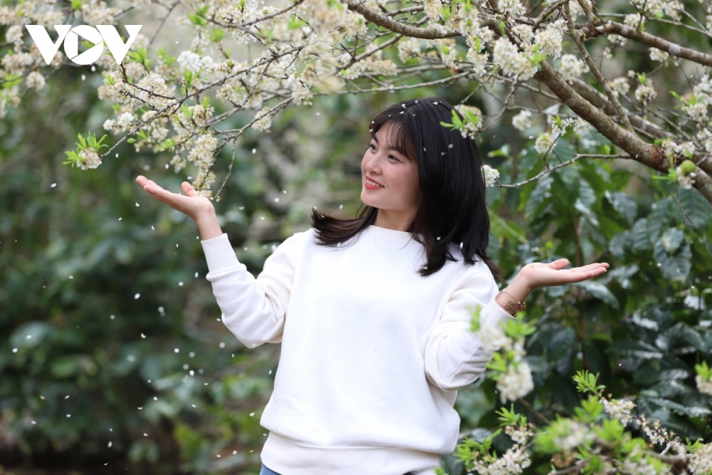 Xuân về, hoa mận nở bung trắng sườn đồi - Hình 8