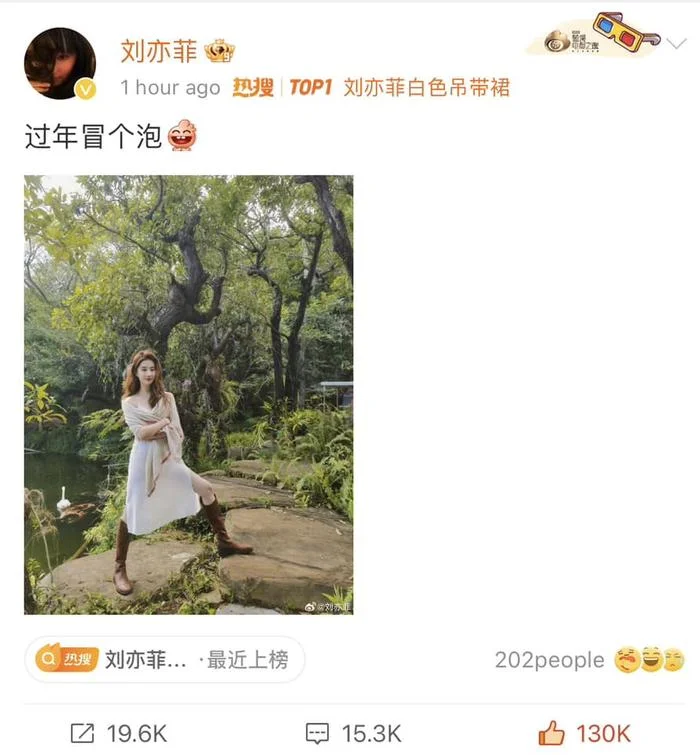 Lưu Diệc Phi thành đôi với trai trẻ kém 12 tuổi, là người quen của Đàm Tùng Vận - Hình 6