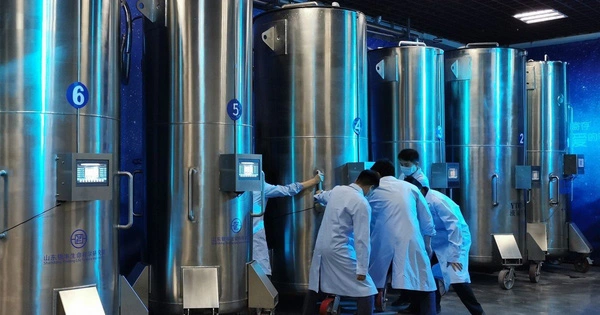 Dịch vụ hồi sinh người đã khuất thịnh hành ở Trung Quốc, gây tranh cãi nảy lửa - Hình 4