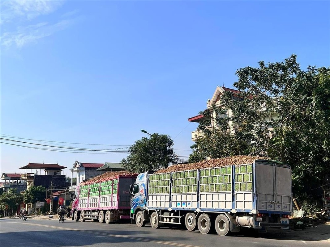 Ngô Hạnh: Bóng hồng Container gây sốt MXH, chưa quen với việc bị soi quá nhiều - Hình 3