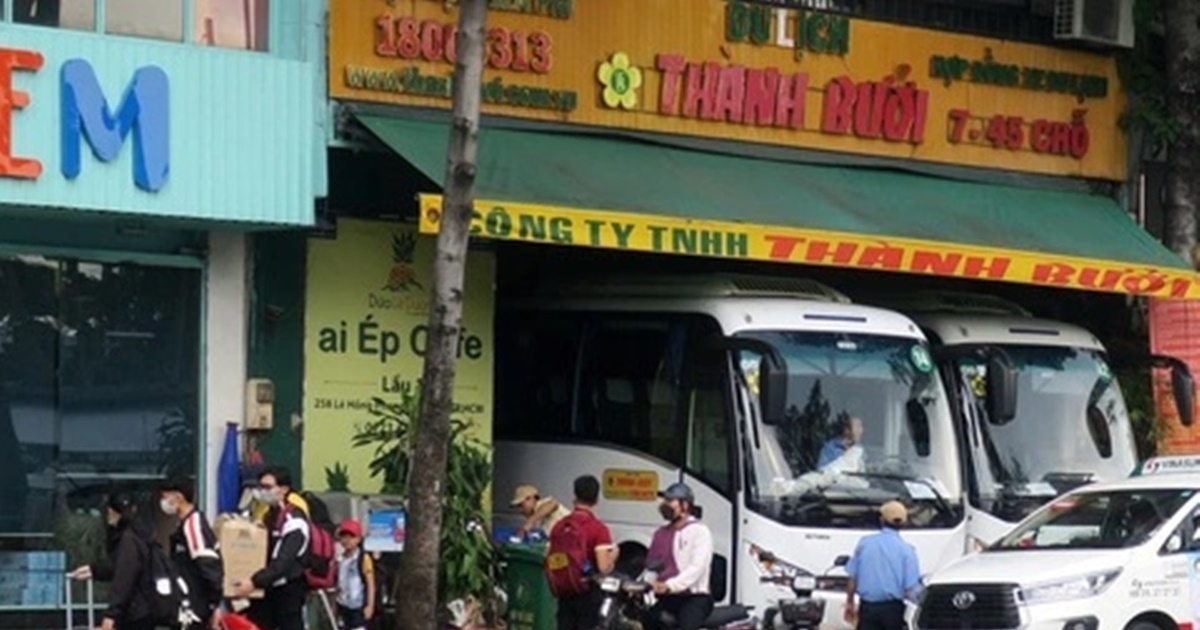 TP. Hồ Chí Minh: Hãng xe Thành Bưởi được cấp giấy phép hoạt động trở lại - Hình 6