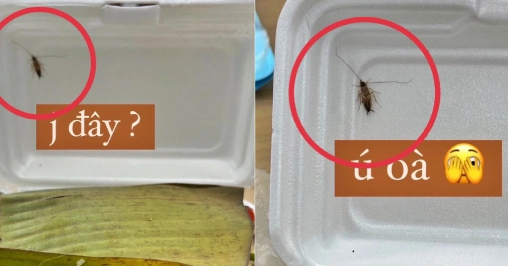 Hai mẹ con tá hỏa khi thấy bát cơm có vật lạ, phản ứng người nấu gây phẫn nộ - Hình 5