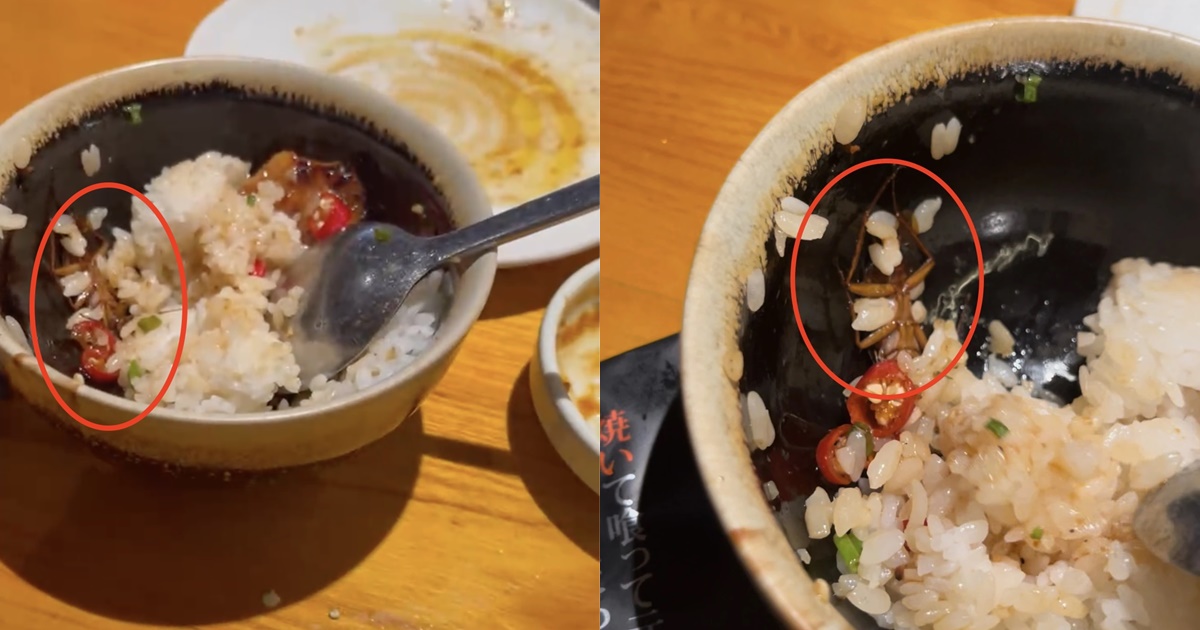 Vụ bát cơm trộn gián: Phía nhà hàng lên tiếng, mong muốn được gặp người tố - Hình 6