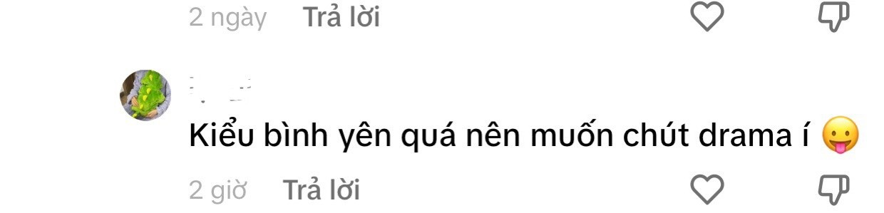 Soanh - Diệp khiến netizen đặt nghi vấn cố tình tạo drama, giả bộ lục đục? - Hình 6