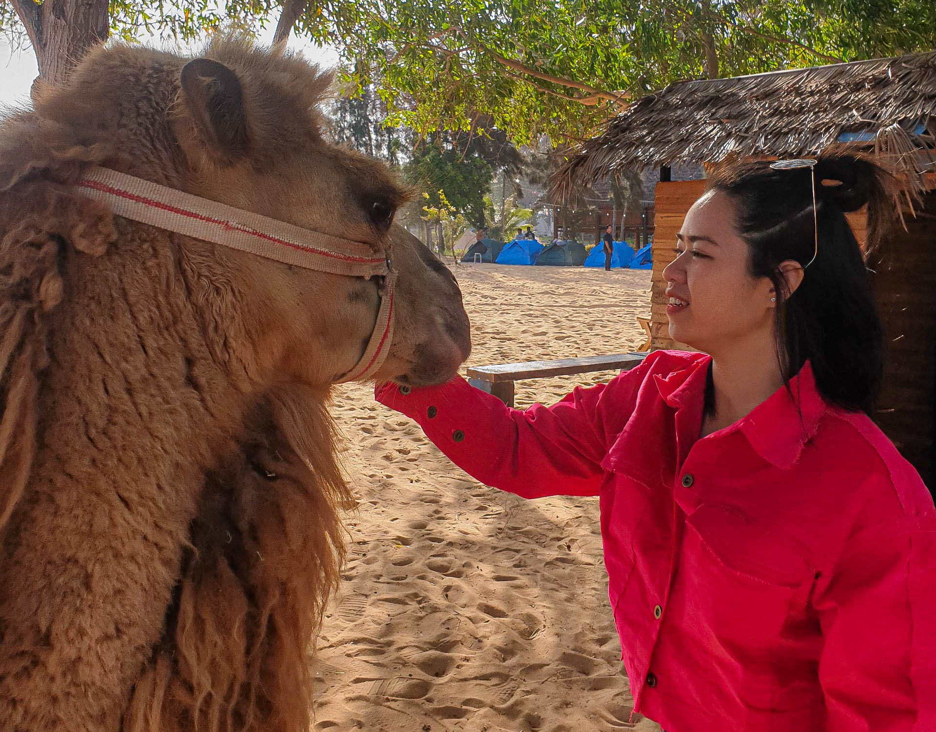 Hãy đặt chân trên Đồi Cát Trắng, thả hồn cảm nhận tiểu sa mạc Sahara của Việt Nam - Hình 11