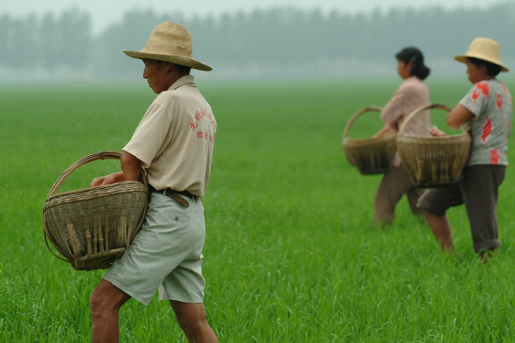 Lựa chọn khó khăn của người dân tại các vùng nông thôn Trung Quốc - Hình 1