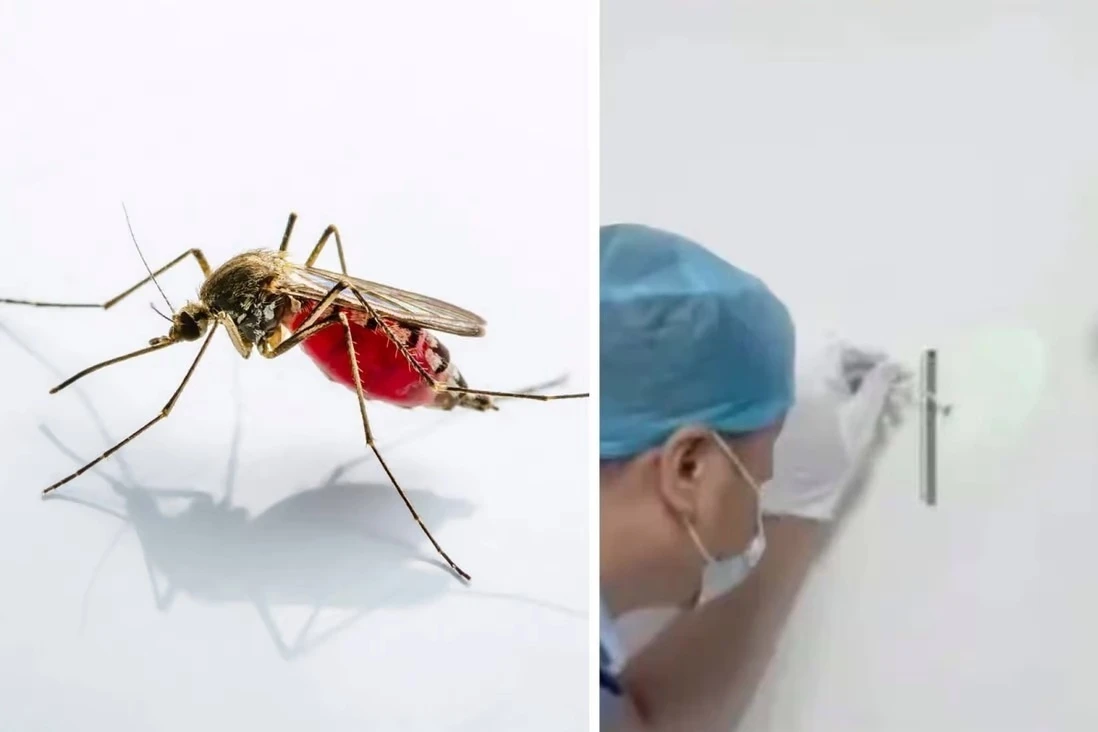 Muỗi ở Phần Lan bày đường cho cảnh sát phá án, giúp truy lùng kẻ phạm tội - Hình 3