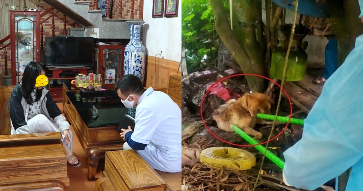 Quảng Ninh: Huy động hàng chục ngàn liều vắc-xin, sau vụ chó dại cắn 14 người - Hình 7