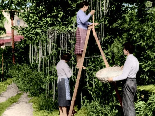 Cá tháng Tư và những cú lừa kinh thiên động địa, sốc nhất là ngày tận thế - Hình 5