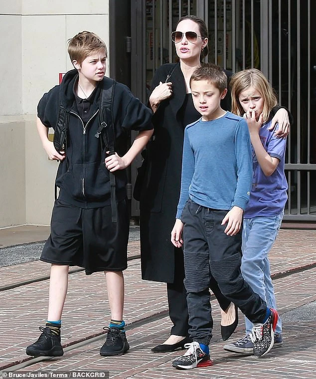 Angelina Jolie nuôi con cực khéo, ra sao mà Brad Pitt bị con quay lưng, từ mặt? - Hình 5