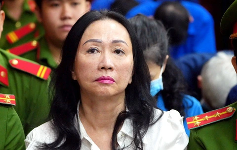 Công ty mẹ Cường Đô La còn 28 tỷ tiền mặt, phải trả 2882 tỷ cho Trương Mỹ Lan - Hình 1
