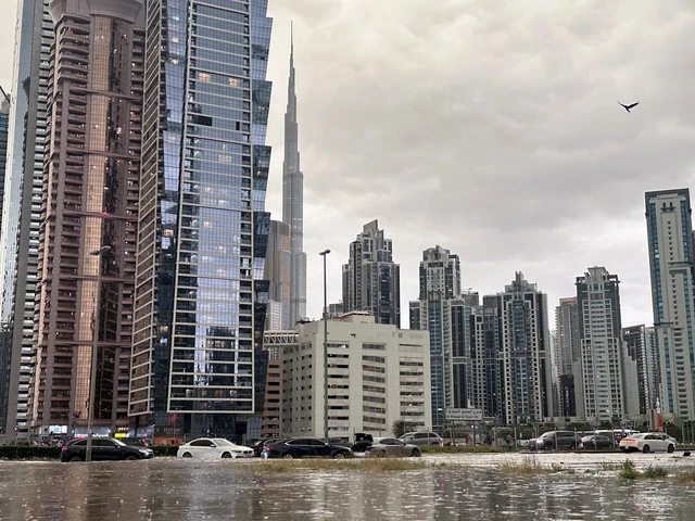 Thực hư cảnh tượng cá mập bơi trong trung tâm thương mại giữa ngập lụt Dubai - Hình 3