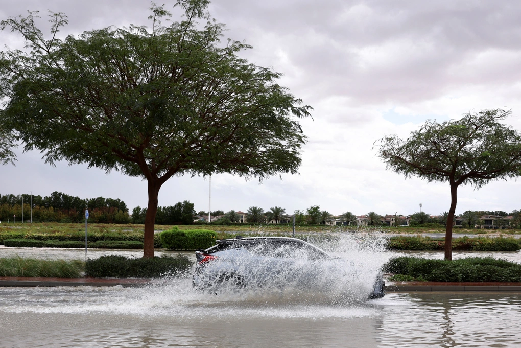 Thực hư cảnh tượng cá mập bơi trong trung tâm thương mại giữa ngập lụt Dubai - Hình 2