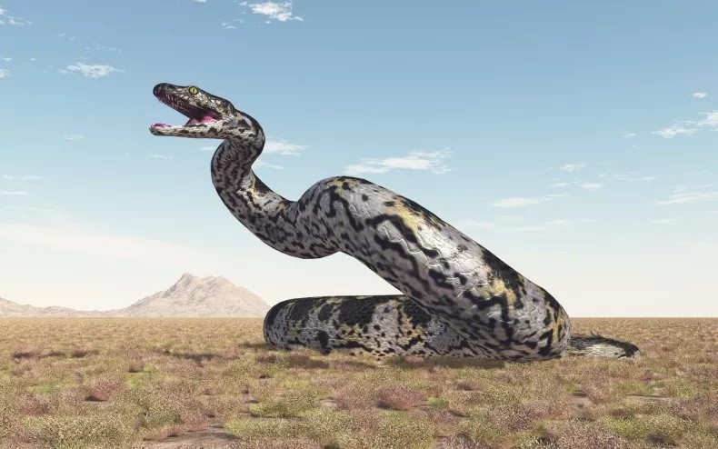 Phát hiện quái vật rắn lớn nhất từng sống trên Trái Đất - Hình 3