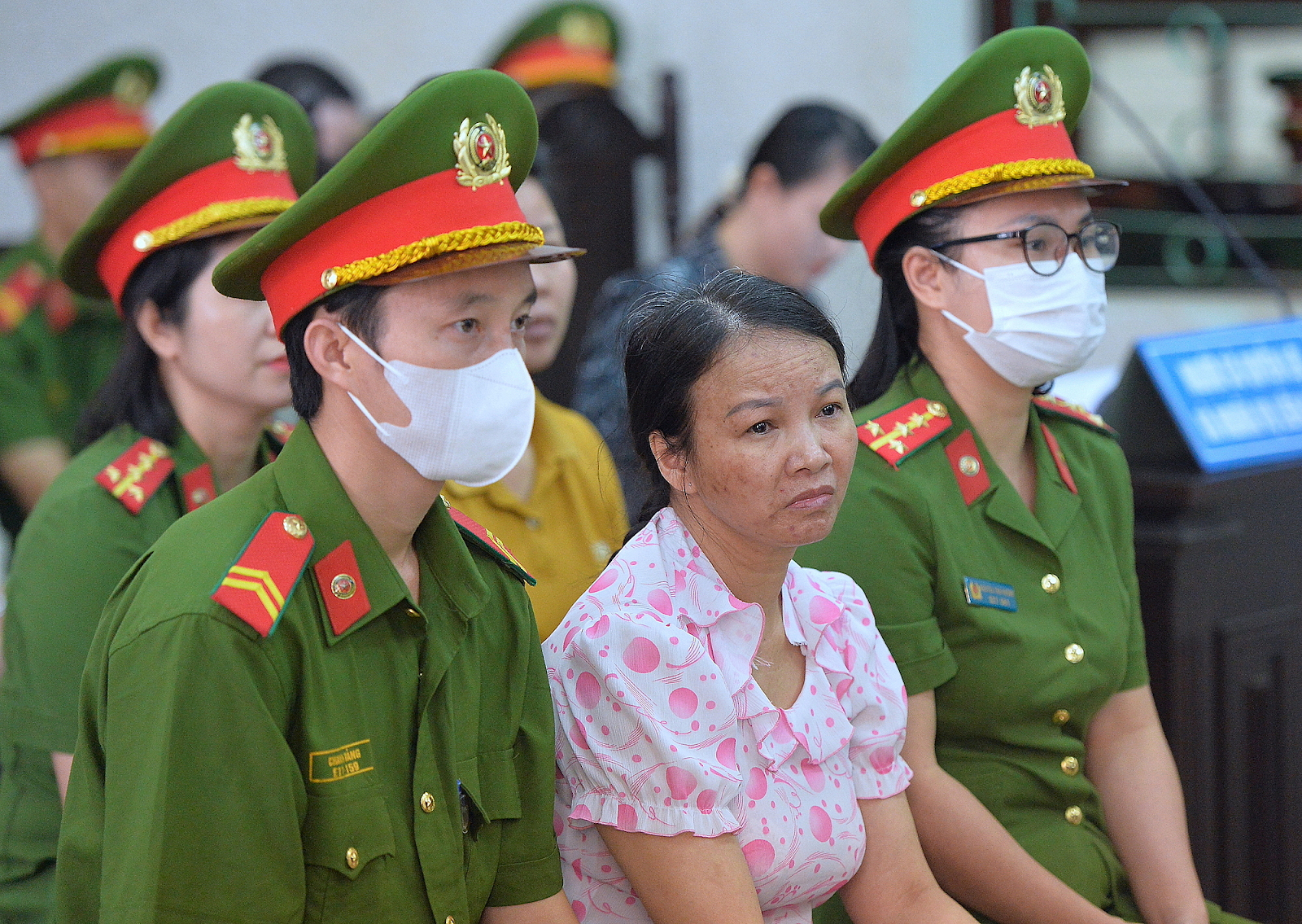 Mẹ nữ sinh giao gà khóc ngất giữa phiên toà, mong kẻ ác khai thật - Hình 2