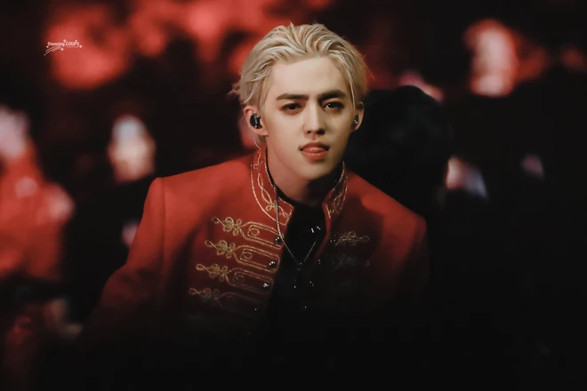 S.Coups: Thủ lĩnh SEVENTEEN, Edward xứ Hàn miễn nghĩa vụ vì lý do đặc biệt - Hình 6