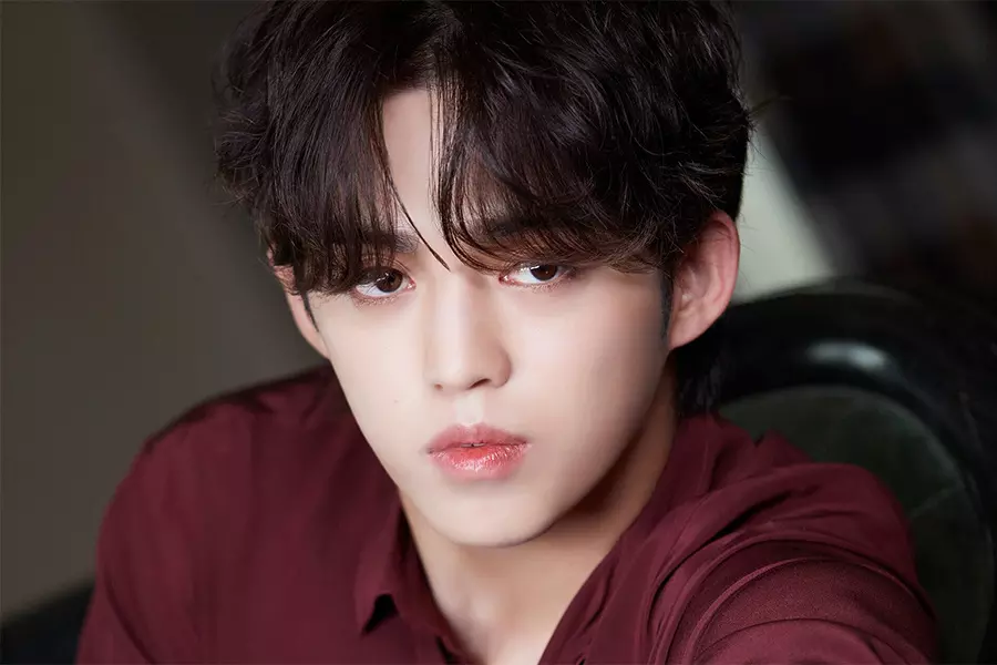 S.Coups: Thủ lĩnh SEVENTEEN, Edward xứ Hàn miễn nghĩa vụ vì lý do đặc biệt - Hình 5