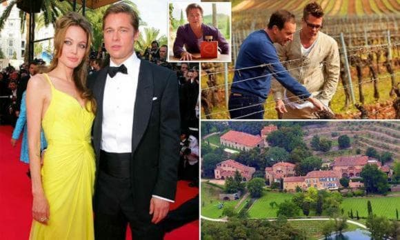 Angelina Jolie tiếp tục chỉ trích Brad Pitt về nhà máy rượu giá hơn 12 nghìn tỷ - Hình 6