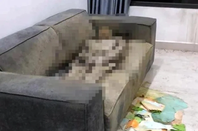 Cô gái khô trên sofa: Điện thoại tháo sim, ô tô mất, hàng xóm hé lộ chi tiết lạ - Hình 1