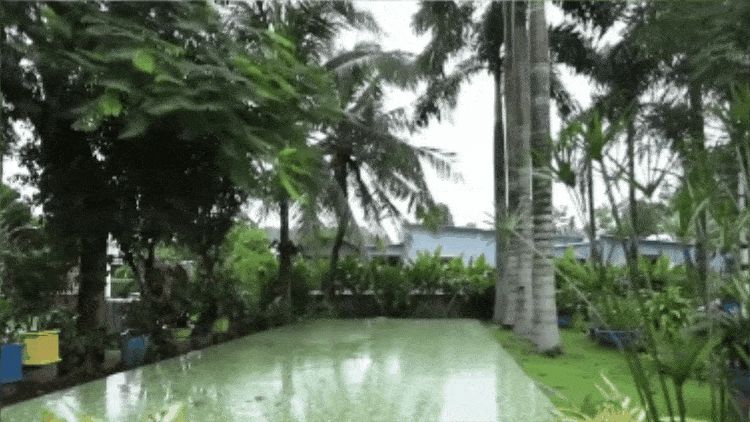 Nam thần đại gia ngầm của showbiz Việt: Sở hữu nhà vườn rộng hơn 3000 m2, tuổi 46 vẫn độc thân đắt giá - Hình 3