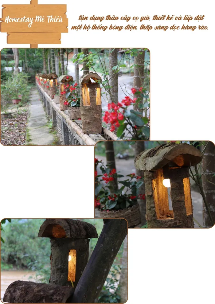 Sáng tạo từ thân cây cọ - Hình 1