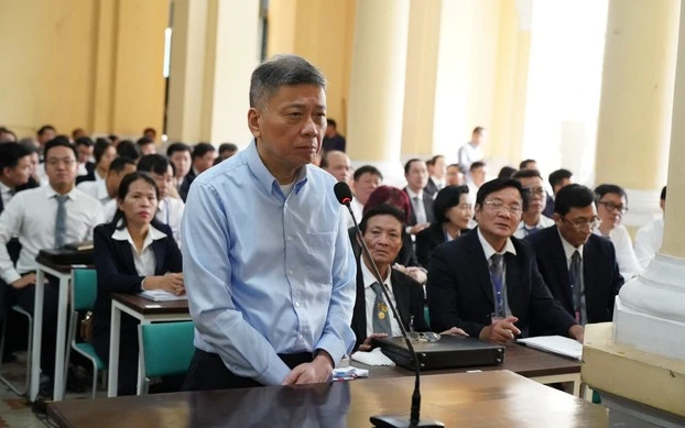 Trương Huệ Vân khóc nức nở xin tòa giảm án tử cho bà Trương Mỹ Lan - Hình 5