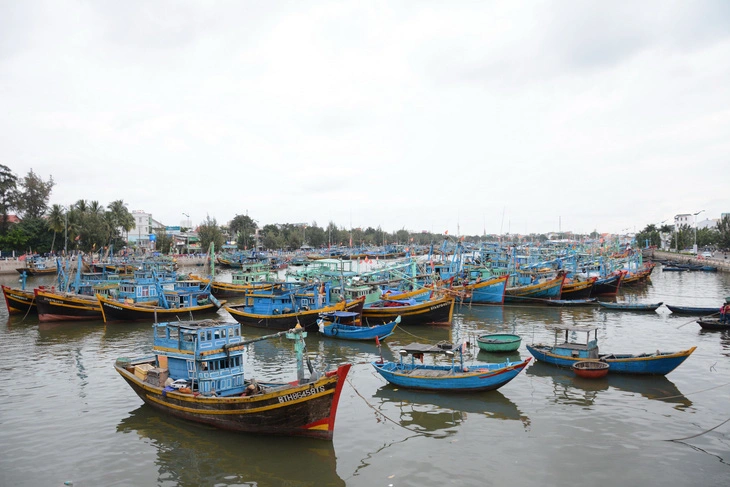 Người đàn ông xin khai thác 3 tấn vàng người Nhật chôn lại ở sông Phan Thiết - Hình 6