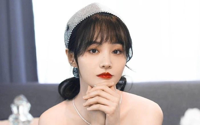Trịnh Sảng bị phong sát, trốn sang Mỹ chủ nợ tìm tận nơi, khốn đốn vì phá sản - Hình 2