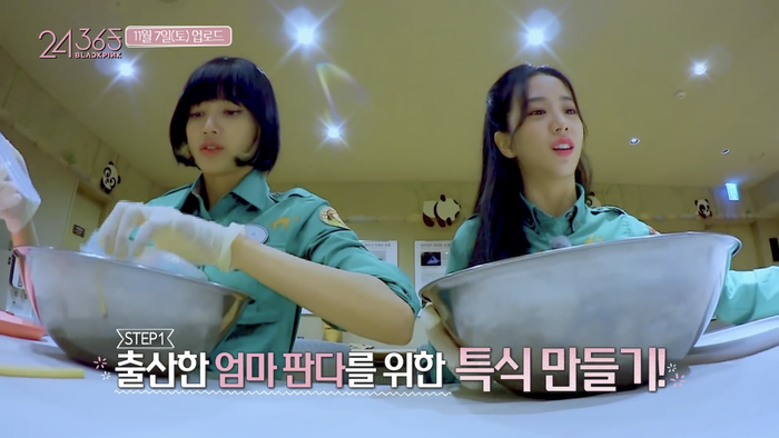 BLACKPINK từng bị Cnet chỉ trích, bị điều tra vì gây hại cho Fubao? - Hình 7