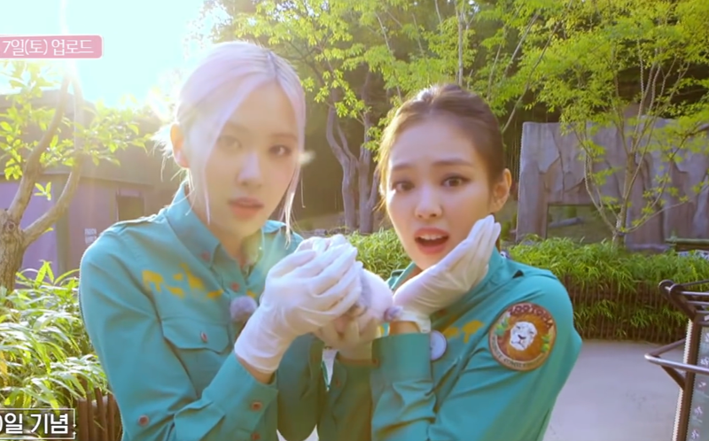 BLACKPINK từng bị Cnet chỉ trích, bị điều tra vì gây hại cho Fubao? - Hình 2