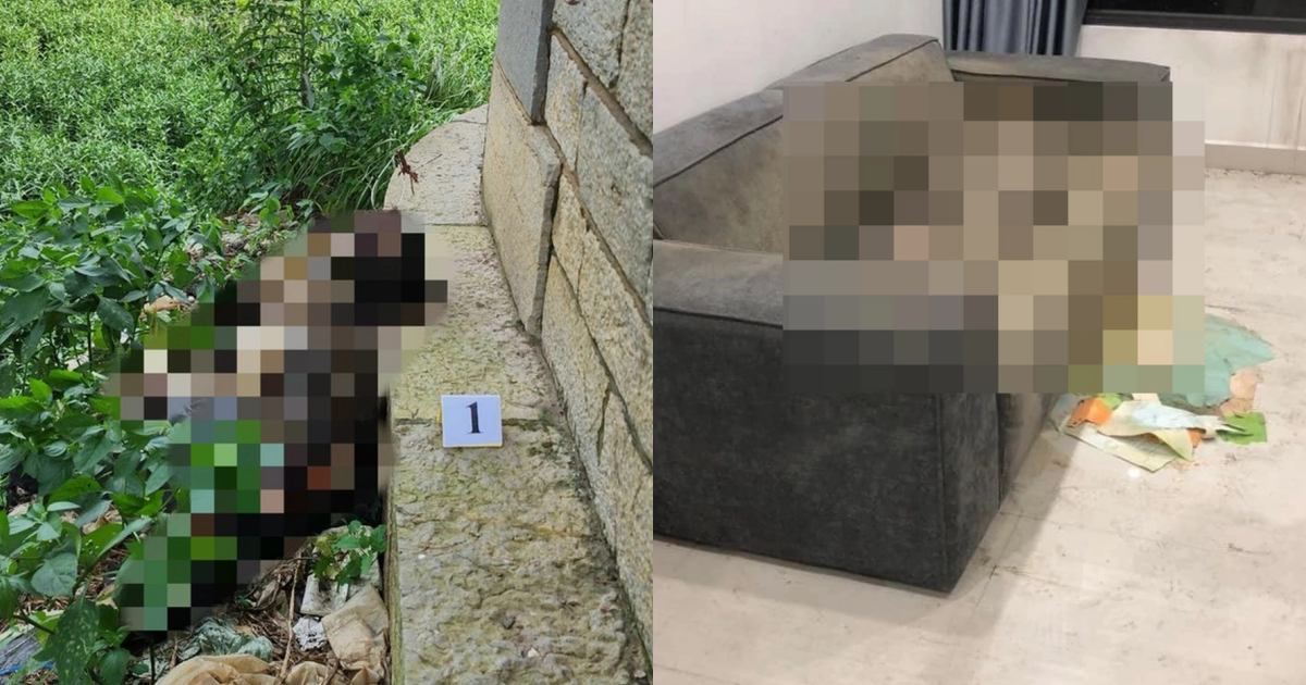 Lại phát hiện chàng trai khô dưới chân cầu sau vụ cô gái khô trên sofa ở Hà Nội - Hình 6