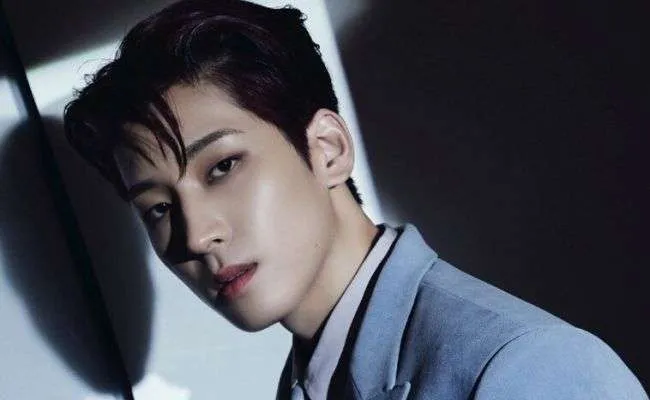Wonwoo: Quá khứ xúc phạm SNSD là rác rưởi, giờ là idol đình đám nhóm SEVENTEEN - Hình 2
