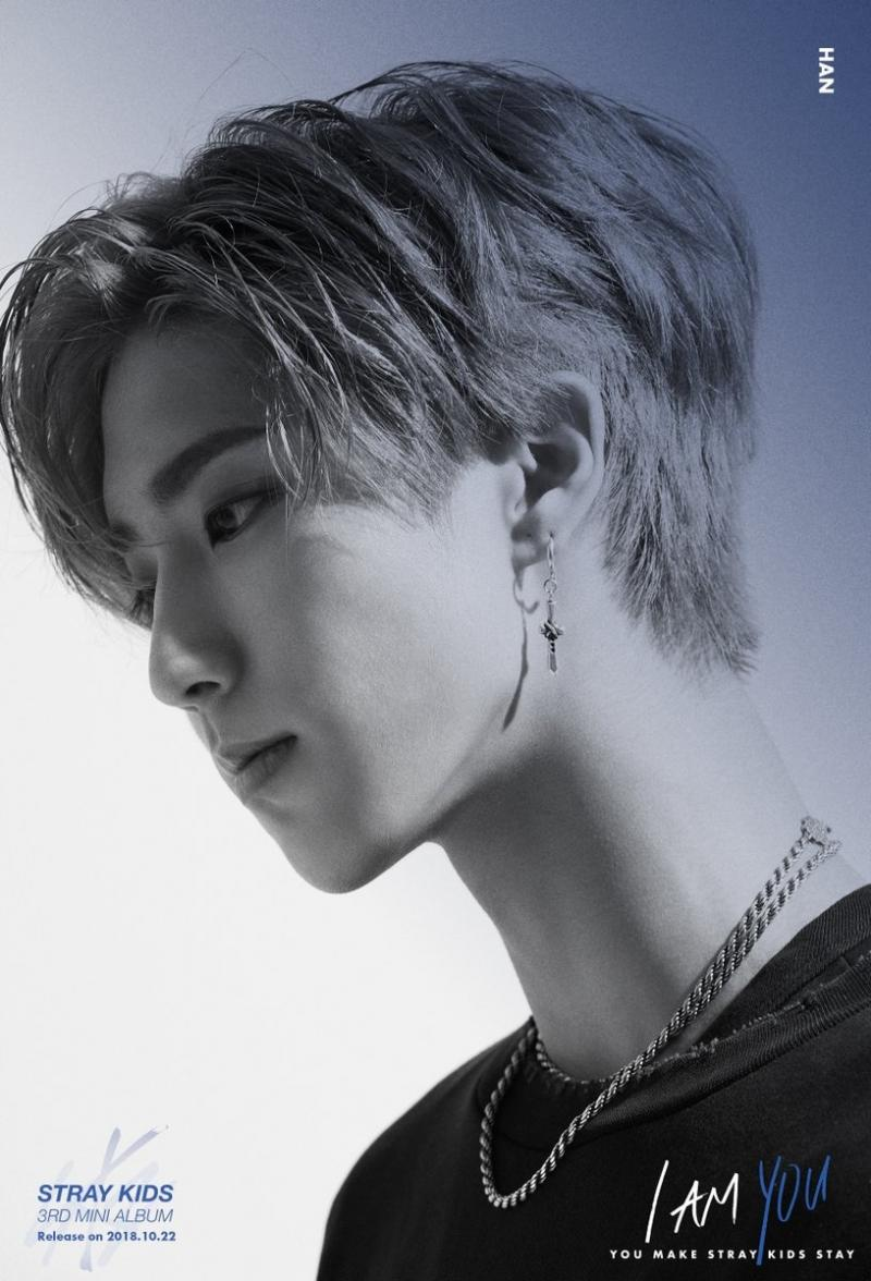 Han (Stray Kids): Từng nông nổi làm nhạc hư hỏng, nổi tiếng phải cúi đầu xin lỗi - Hình 2