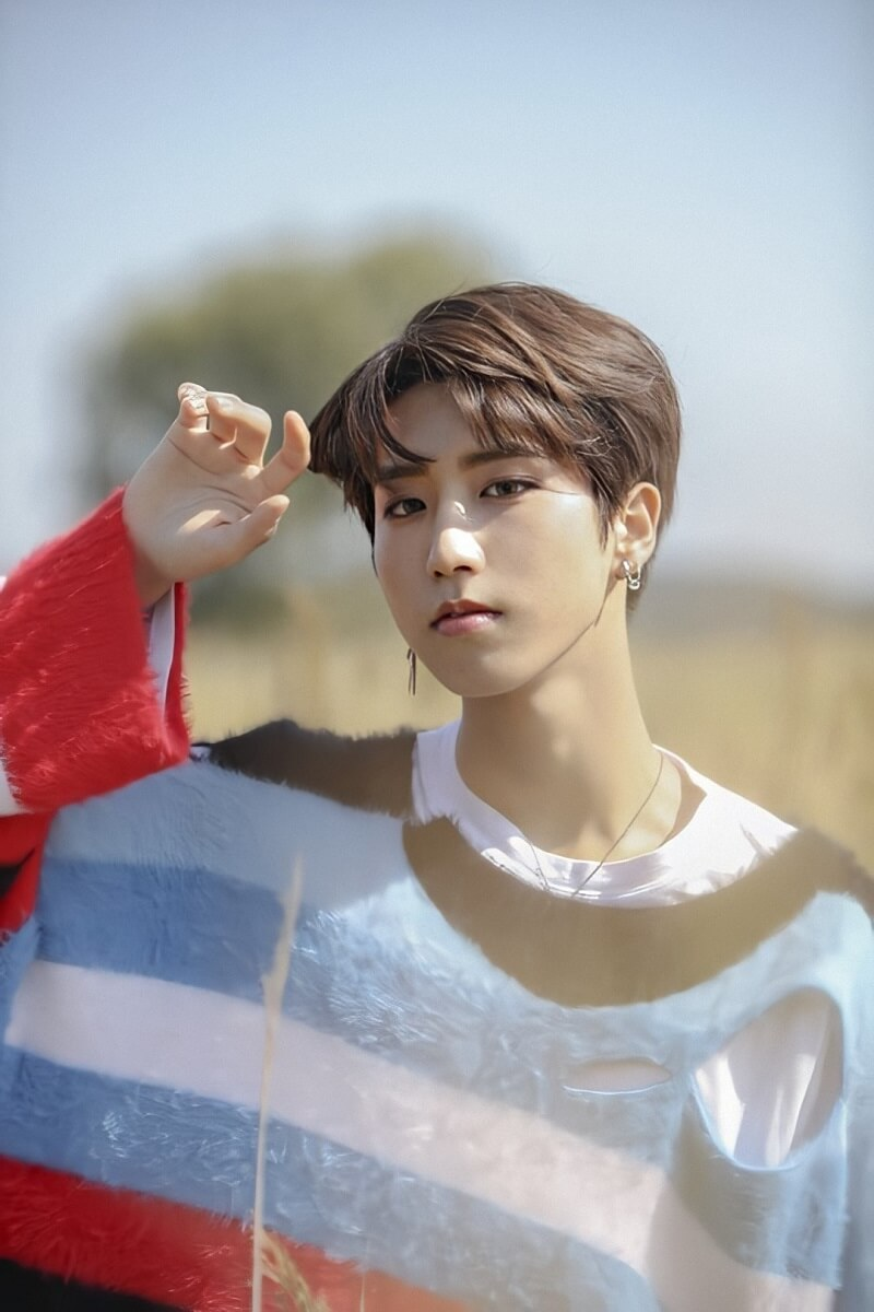 Han (Stray Kids): Từng nông nổi làm nhạc hư hỏng, nổi tiếng phải cúi đầu xin lỗi - Hình 4