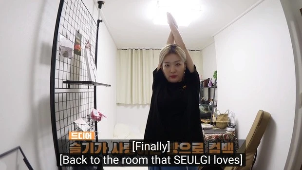 Seulgi: Cỗ máy nhảy Red Velvet, visual đi ngược lại tiêu chuẩn cái đẹp xứ Hàn - Hình 8