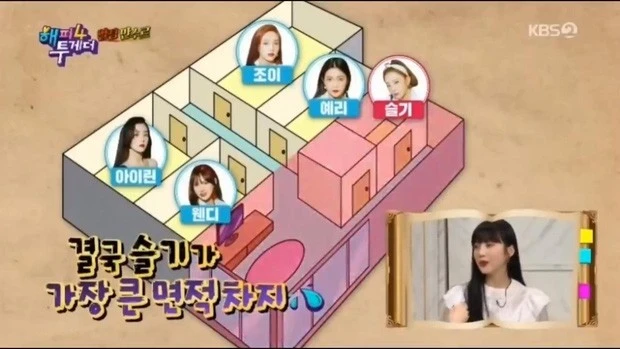Seulgi: Cỗ máy nhảy Red Velvet, visual đi ngược lại tiêu chuẩn cái đẹp xứ Hàn - Hình 7